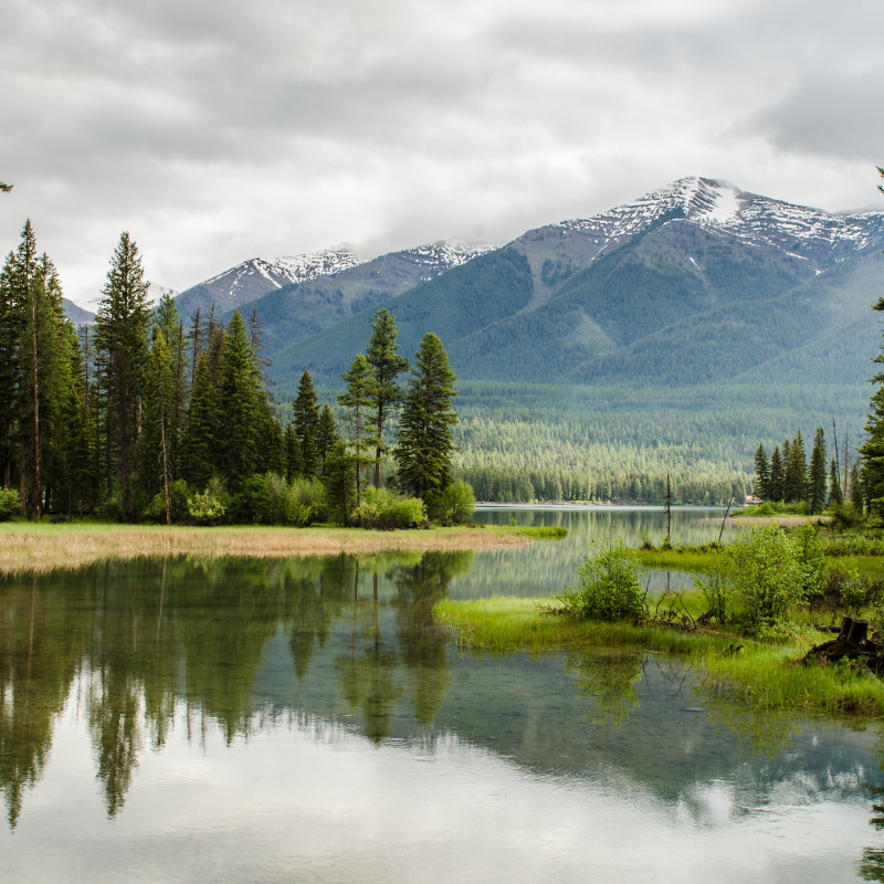 nature, tress, mountains, water