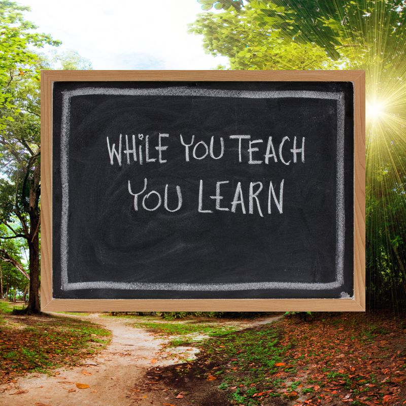 while you teach you learn