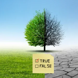 Left side is a green tree with green grass, on the right, a bare winter tree with cracked dry ground. A note with the words true and false and the option to check the box sits in front.