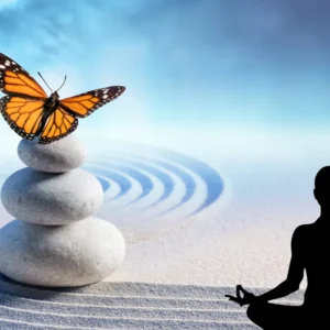 A butterfly perched on a stack of grey stones, surrounded by soft sand. A person sits in meditation in the right corner