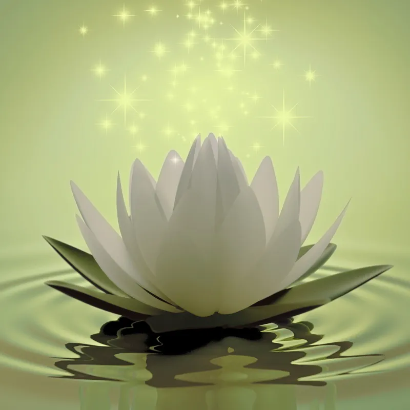 Lotus flower on green water with ripples spreading out