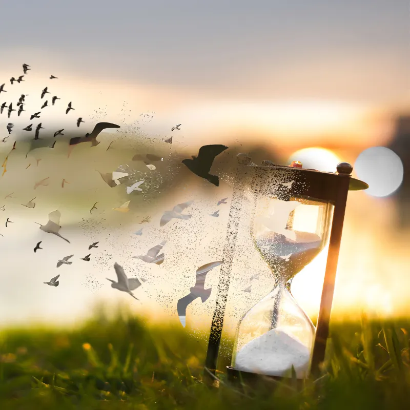 An hourglass with sand streaming out and turning into birds.