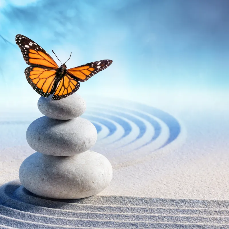 A stack of 3 grey rocks with an orange and black butterfly perched on top. The site on grey sand that ripples out into waves going blue