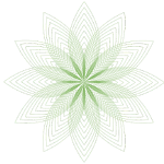 Geometric star